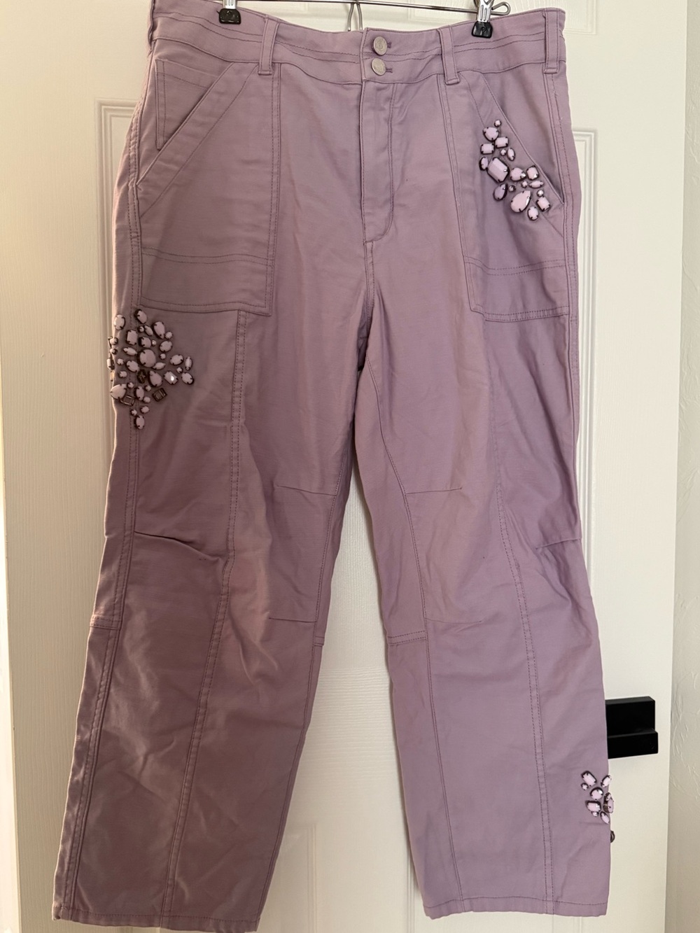 Pilcro Lavender Embellished Pants - Size 32